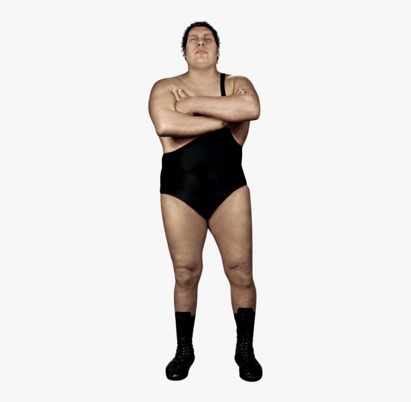 Andre The Giant - Andre The Giant Full Body, transparent png #3560383
