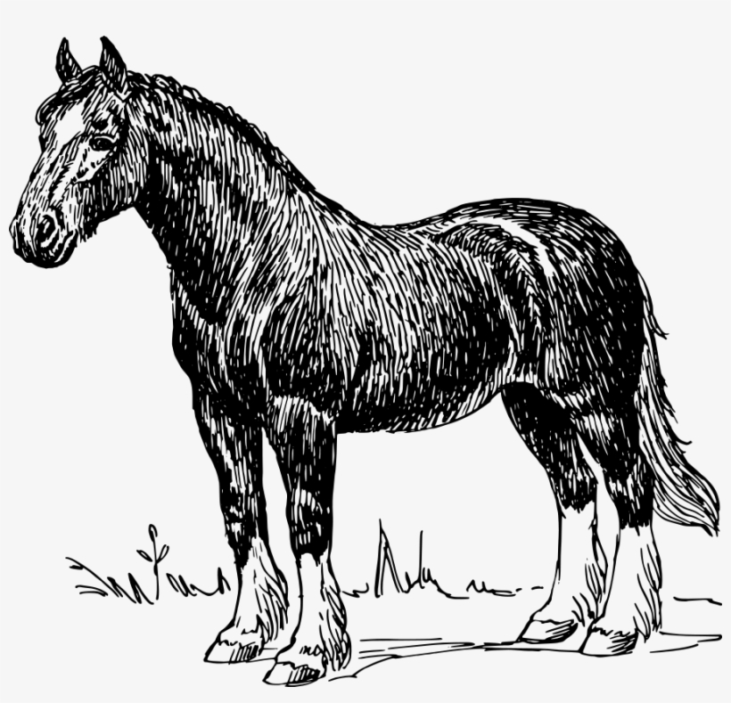 How To Set Use Horse Clipart - Think Your So Cool, transparent png #3561664