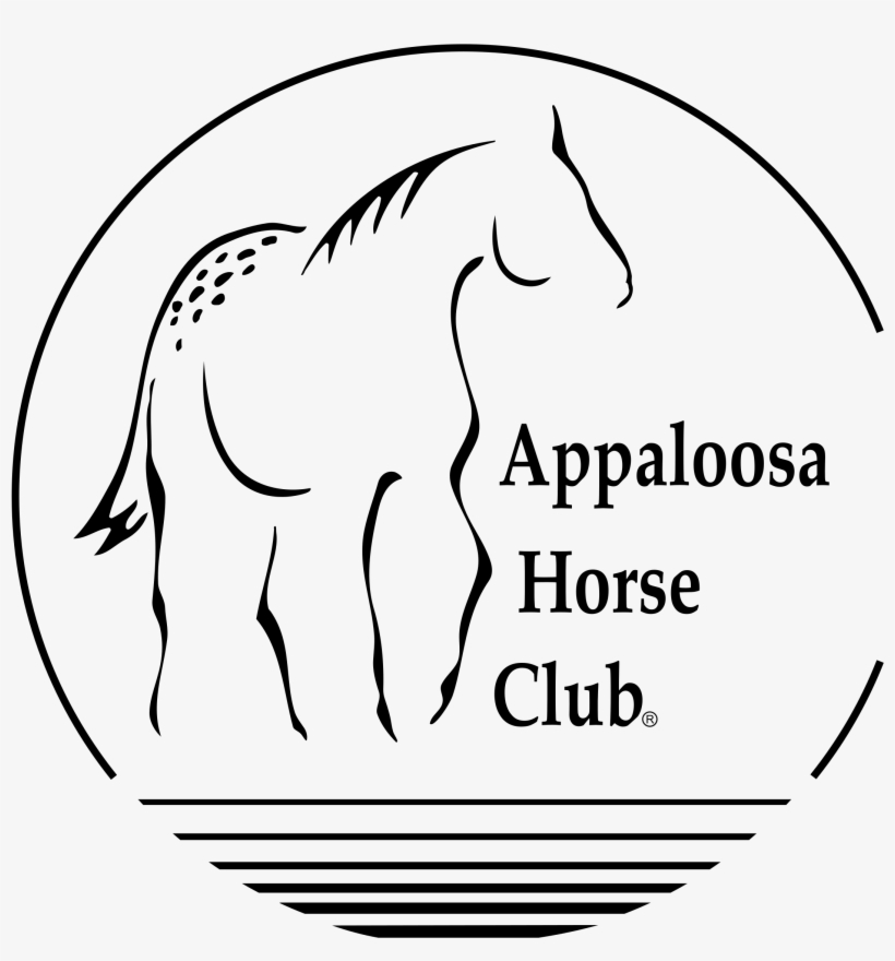 Appaloosa Horse Club 01 Logo Png Transparent - Appaloosa Horse Association Logo, transparent png #3562010