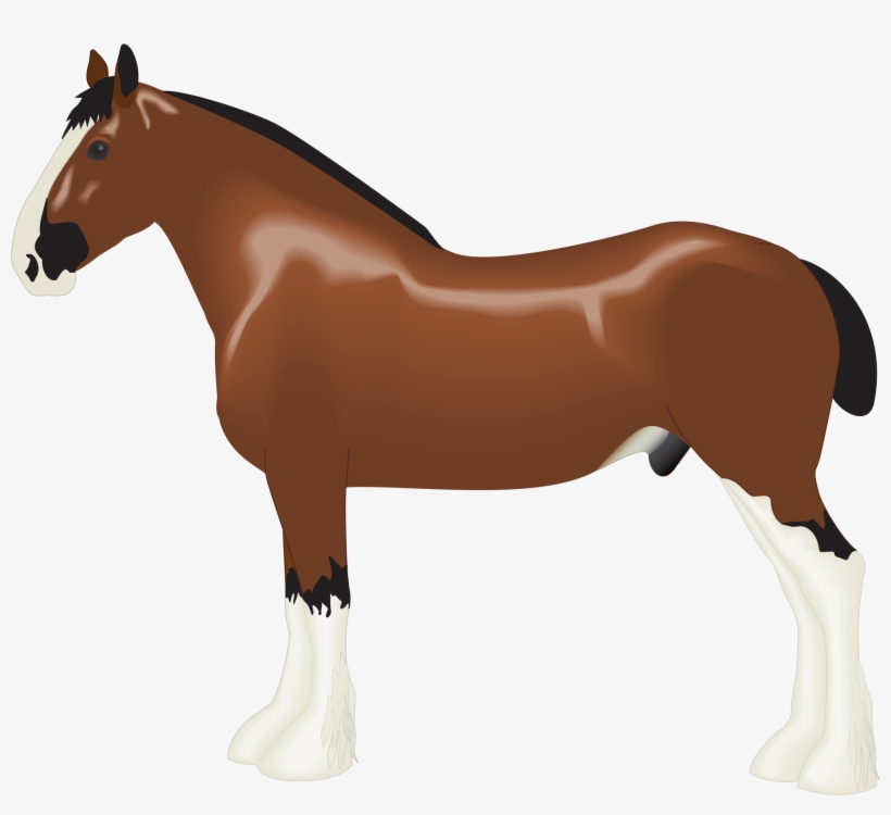 Drawn Horse Clydesdale Horse - Clydesdale Clipart, transparent png #3562255
