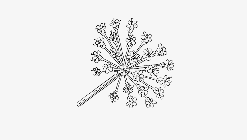Angelica - Portable Network Graphics, transparent png #3562344