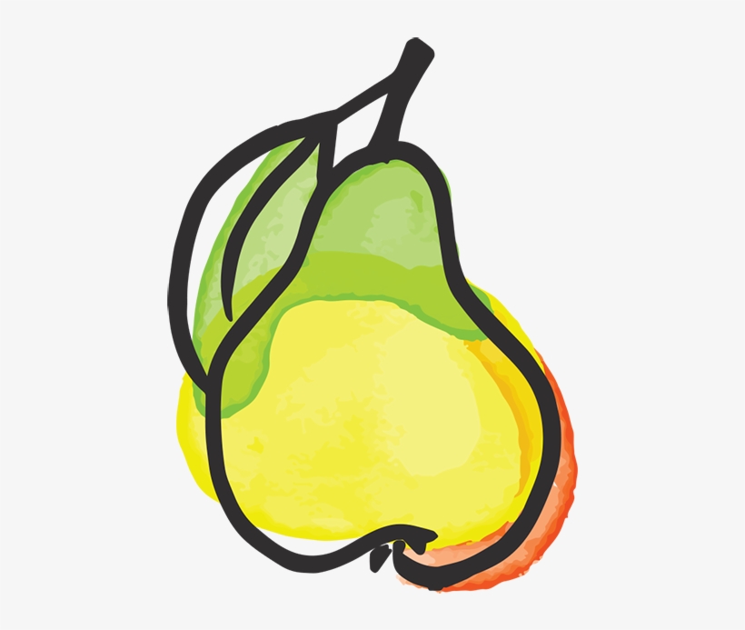 Pear Illustration - Pear, transparent png #3562473