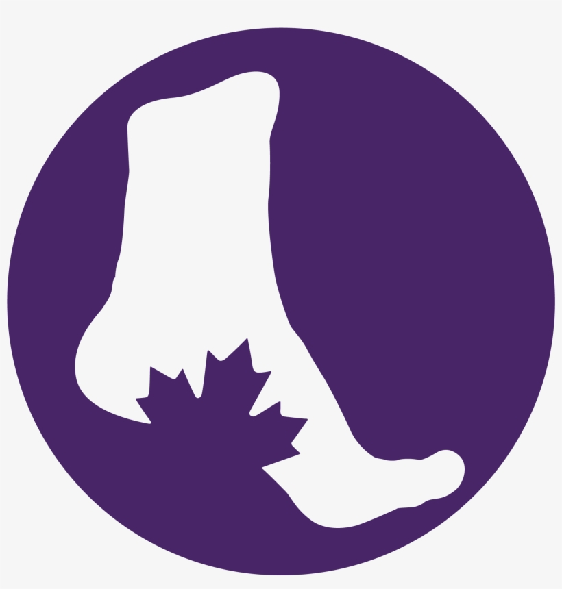 Foot Care Nurse Course - Home And Holiday Flags 3x5 Canada Rainbow Flag Gay, transparent png #3562511