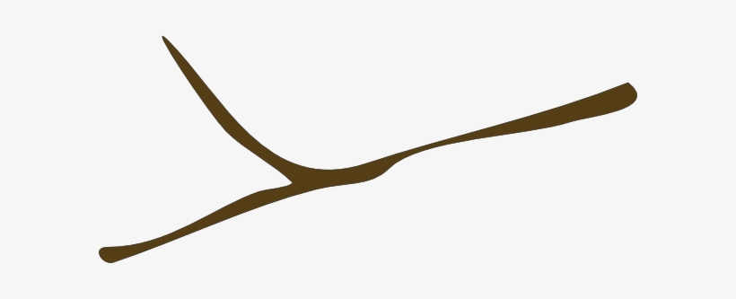 Oregon 20clipart - Branch Without Leaves Clipart, transparent png #3563135