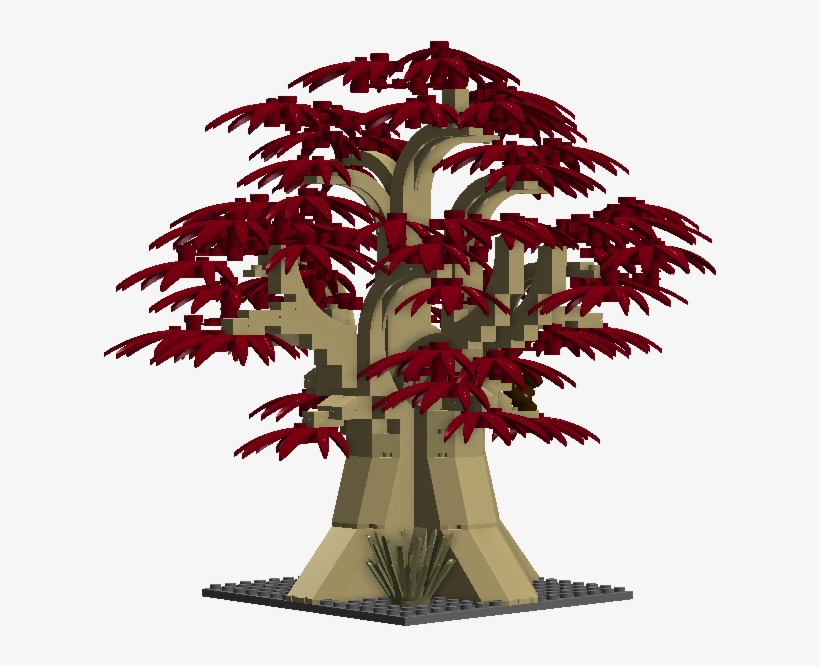1 / - New Mexico Maple, transparent png #3564246