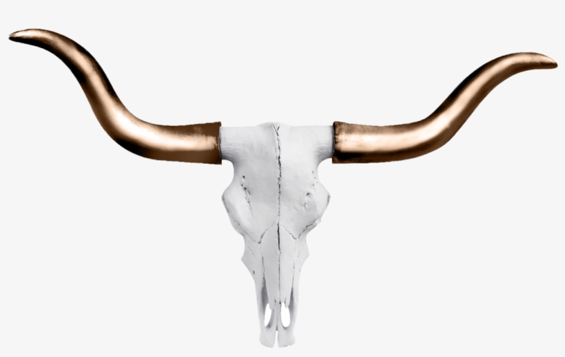 Austin Texas Longhorn Wall Décor Wall Charmers Color:, transparent png #3565125