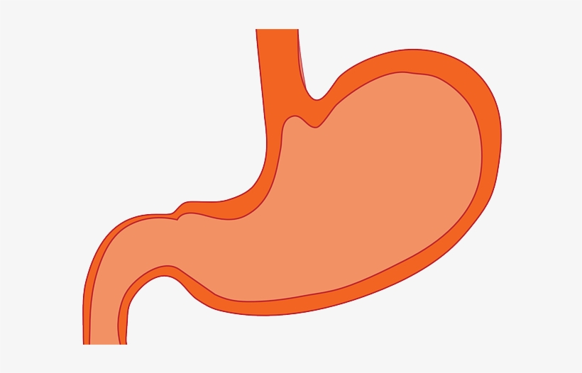 Clip Art, transparent png #3565870