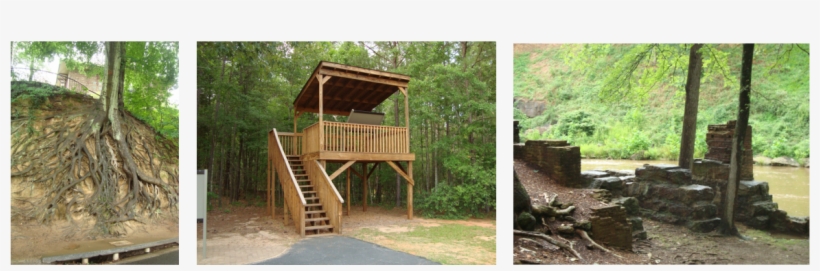 Oh The Places You'll Go Since I Am Not A South Carolina - Plank, transparent png #3566554