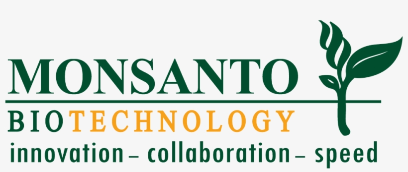 Cayo Costa State Park, transparent png #3566753