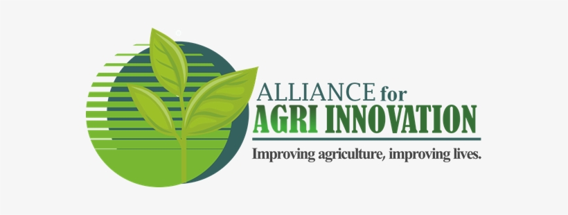 Global And Domestic Seed Companies Like Monsanto, Syngenta, - Agriculture, transparent png #3567442