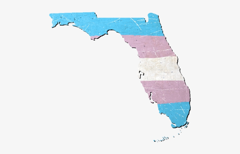 Florida Silhouette Transgender Pride Flag - Atlas, transparent png #3567751