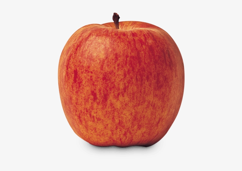 Gala - Royal Gala Apple, transparent png #3567886