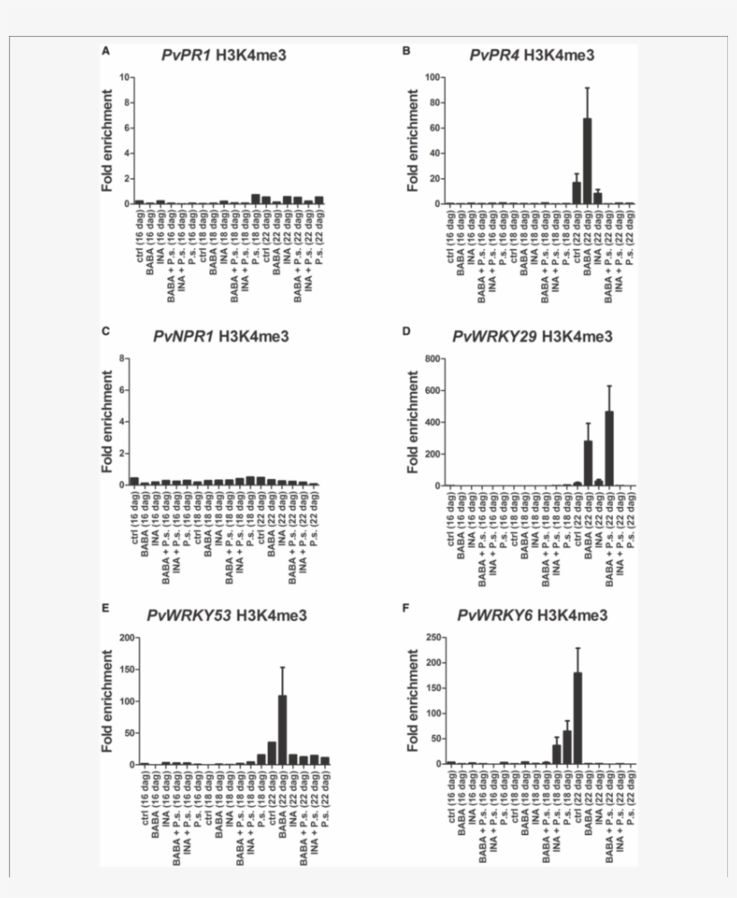 Histone Methylation Profiles As Determined By Chip - .org, transparent png #3568100