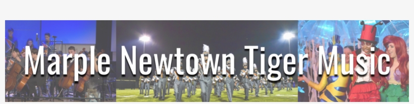 Marple Newtown Tiger Music - Music, transparent png #3568131