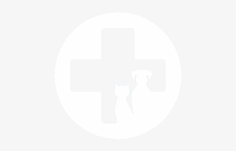 Williston Veterinary Clinic - Williston, transparent png #3568194