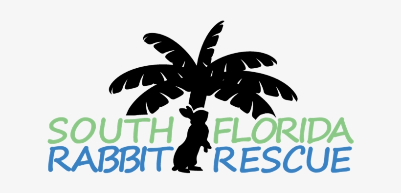 South Florida Rabbit Rescue - Silhouette, transparent png #3568571