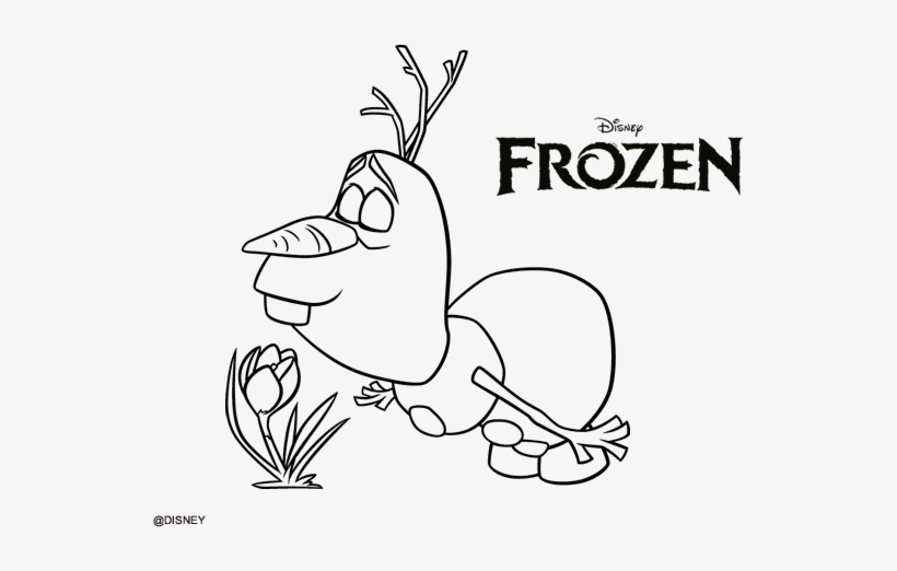 Desenho De Frozen Olaf Para Colorir Colorir Com - Frozen Olaf Para Pintar, transparent png #3568950