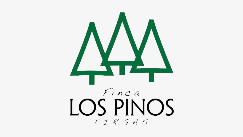 Logo Logo Logo - Pinos Para Logo, transparent png #3569788