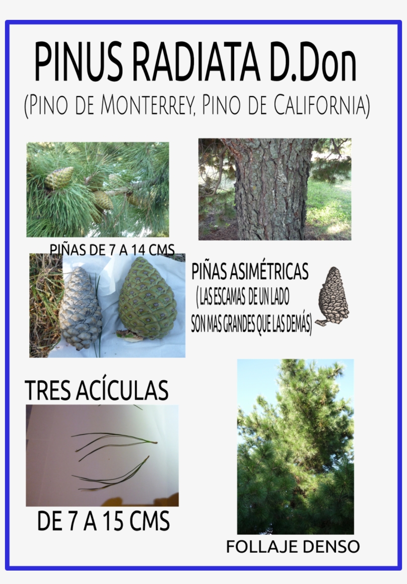 Con Esta Entrada Termino Todos Los Detalles De Identificación - Wir Können Alles Außer, transparent png #3570042