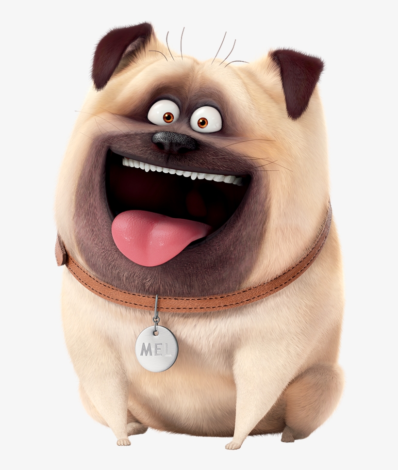 166 × 240 Pixels - Secret Life Of Pets Human Version, transparent png #3571398