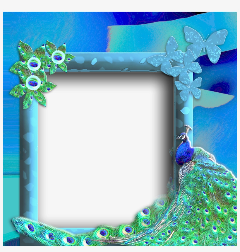 Peacock Photo Frame Png, transparent png #3572207