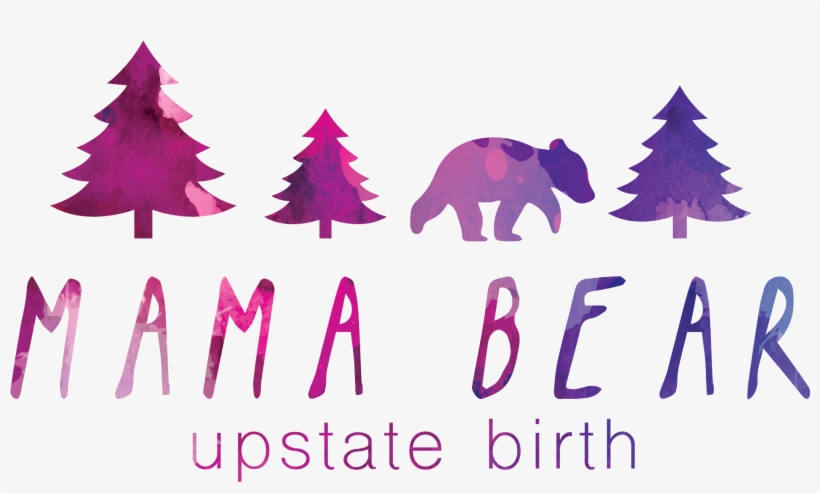 Greenville, Birth, Photography, Doula - Christmas Tree, transparent png #3572372