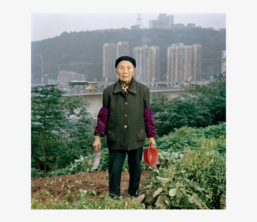 Zhong Baixin, Eighty-seven, Is Cultivating A Square - Chongqing, transparent png #3573679