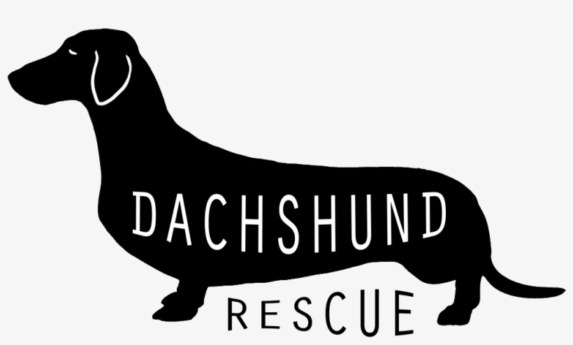 Dachshund Rescue Transparent Boat Free Transparent Png