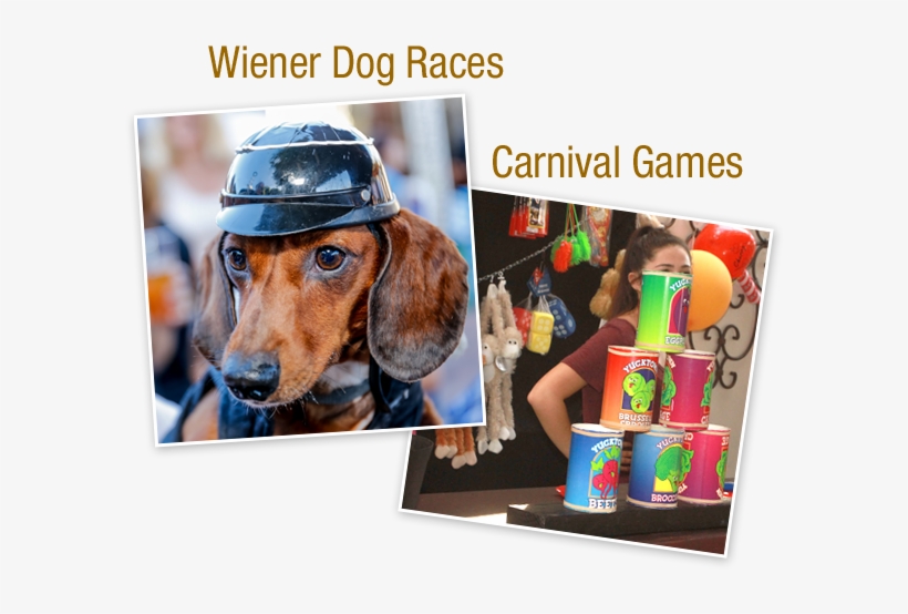 It's A Kiwanis Fundraiser And A Family Fun Day Filled - Scent Hound, transparent png #3574317