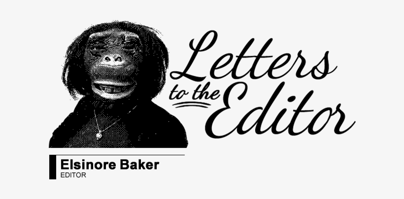 Letter To The Editor, transparent png #3574513