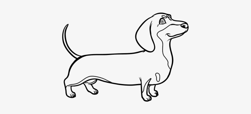 Perro Salchicha Para Pintar, transparent png #3574607