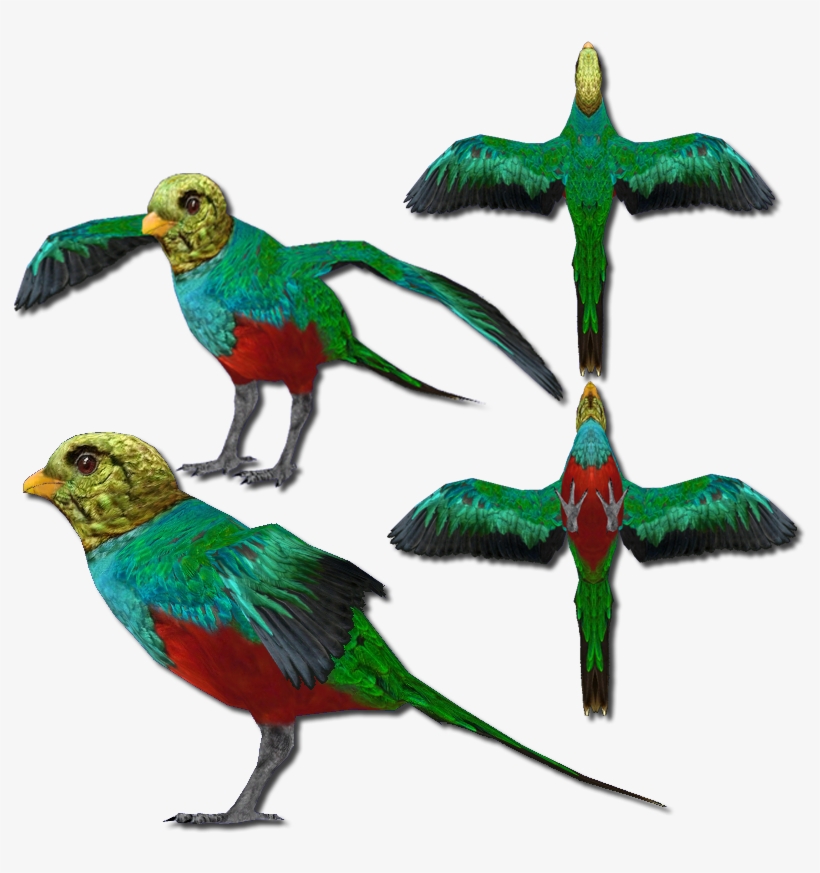 Golden-headed Quetzal V2 - Golden-headed Quetzal, transparent png #3574968