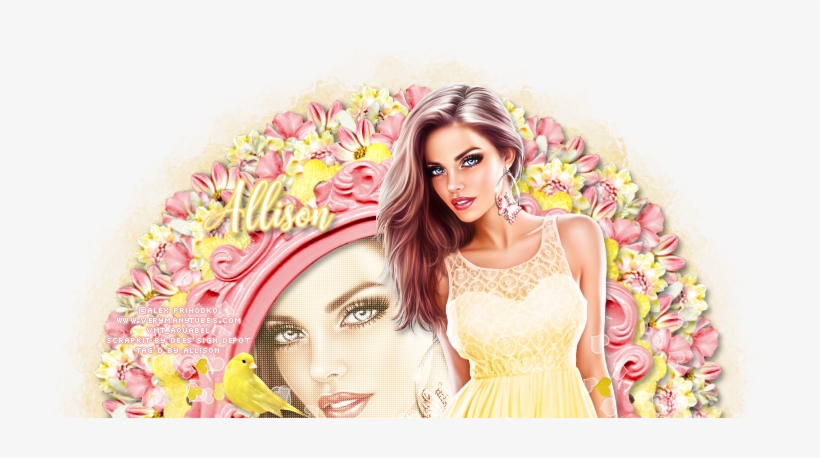 Photo Shoot, transparent png #3575462