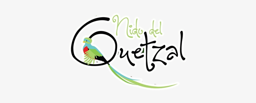Nido Del Quetzal - Hotel Nido Del Quetzal, transparent png #3575537