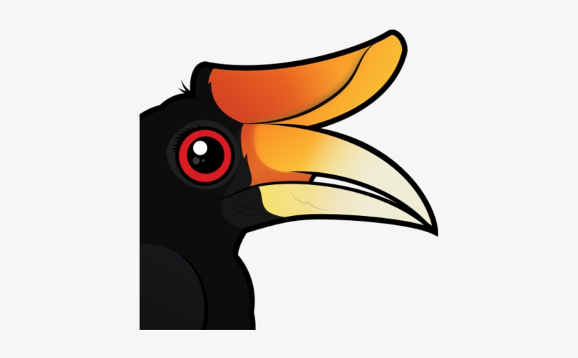 Redhead Rhinoceros Hornbill - Rhinoceros Hornbill Cartoon, transparent png #3575904