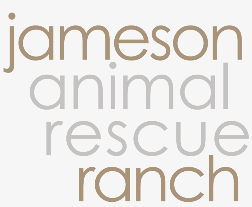 Jameson Rescue Ranch Competitors, Revenue And Employees - Cambridge English Teacher, transparent png #3578434