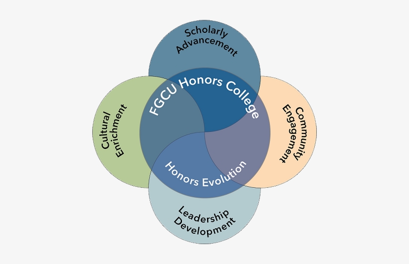 Experience Fgcu - Honour, transparent png #3578677