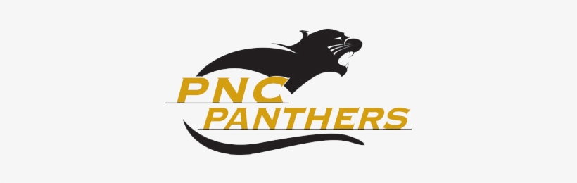 Purdue-north Central - Purdue North Central Logo, transparent png #3579392
