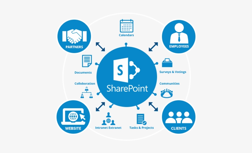 Sharepoint Consulting - Inside Microsoft Sharepoint 2010 - Free Transparent PNG Download - PNGkey