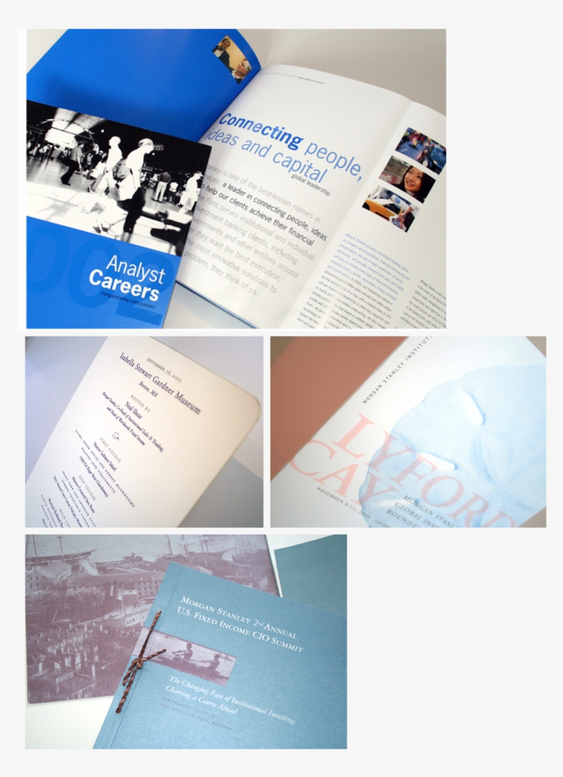 Tms Web 4, transparent png #3580346