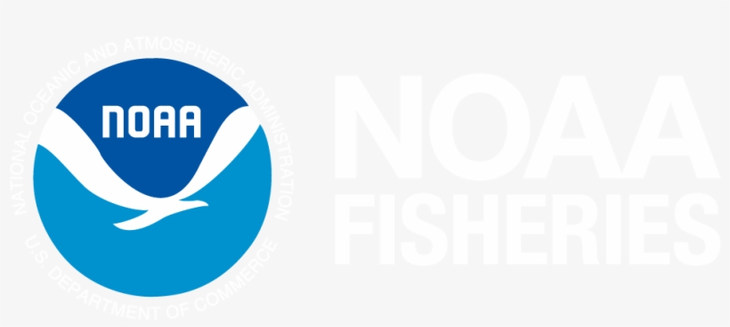 Noaa In The Cape Fear River Basin - Wetland, transparent png #3580645