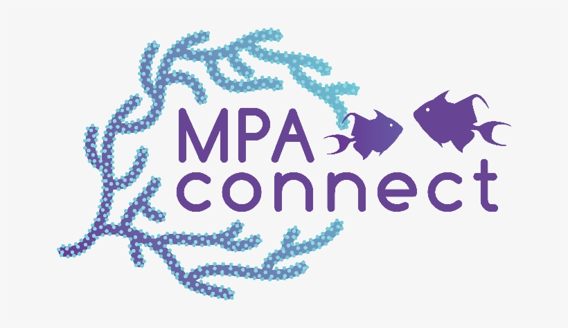 The Noaa-gcfi Partnership And Network Of Caribbean - Graphic Design, transparent png #3581142