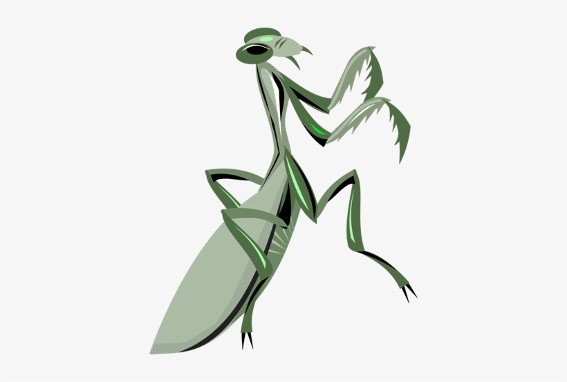 Mantis Png - Praying Mantis Clipart Png, transparent png #3583386