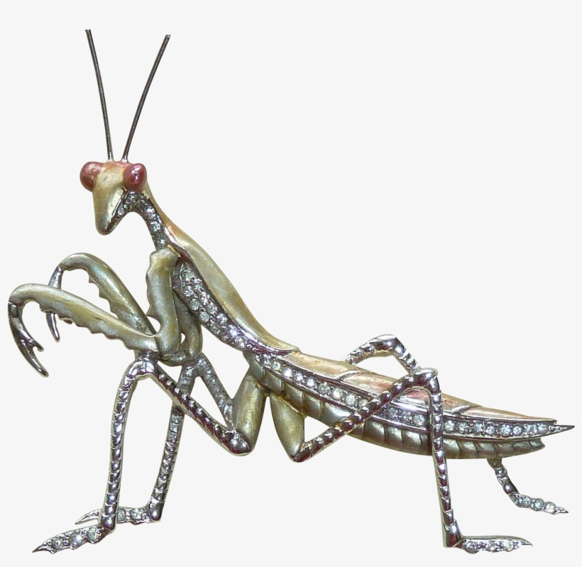 Boucher Rhinestone Enamel Praying Mantis Vintage Pin - Mantidae, transparent png #3583437