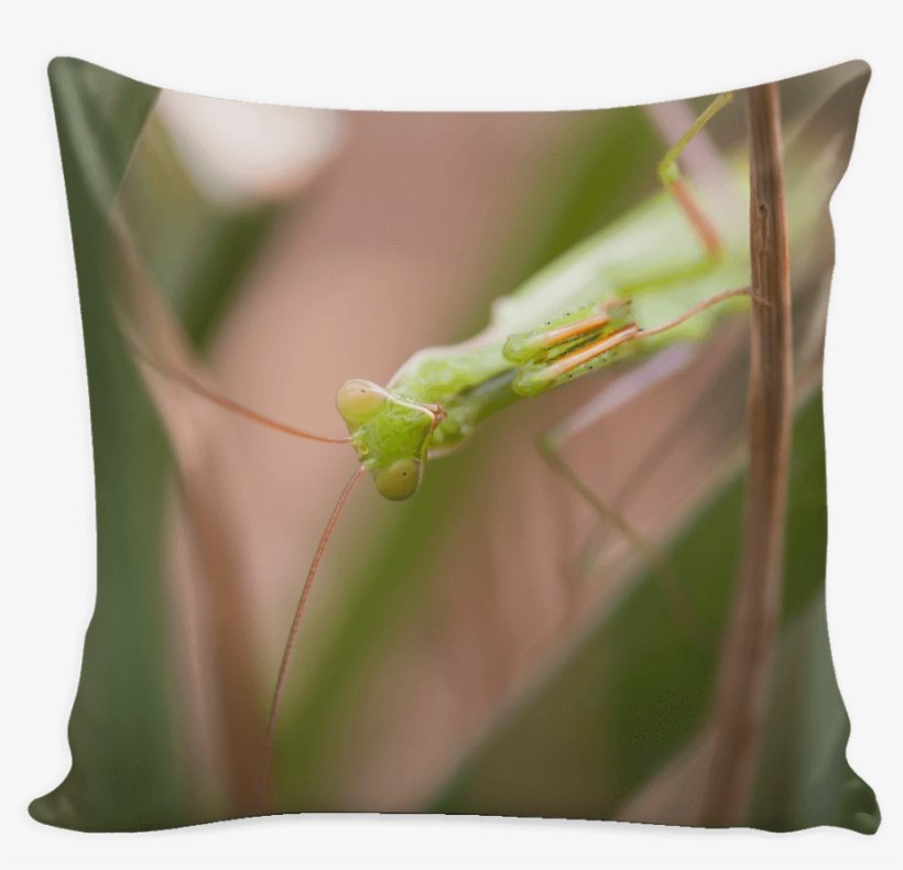 Stencils Prints On Pillow Cover, transparent png #3583460