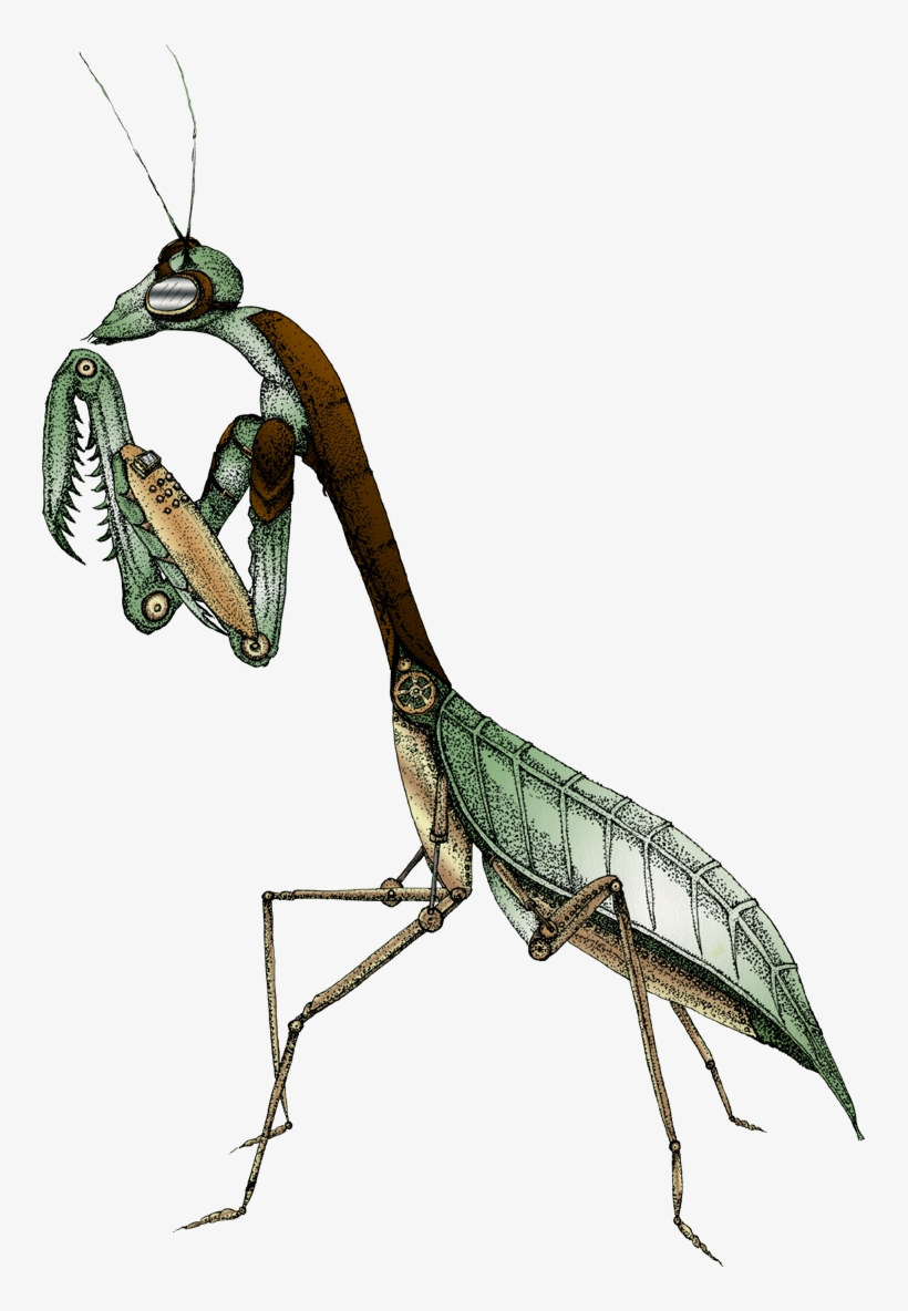 Illustration Of Praying Mantis With Steam Punk Additions - Mantidae, transparent png #3583642