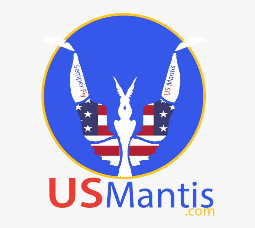 Mantis, transparent png #3583762