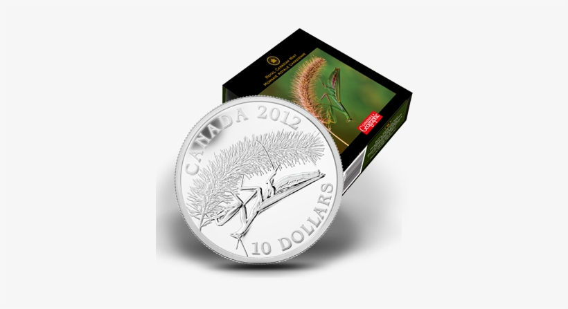 Flash - Silver, transparent png #3583864