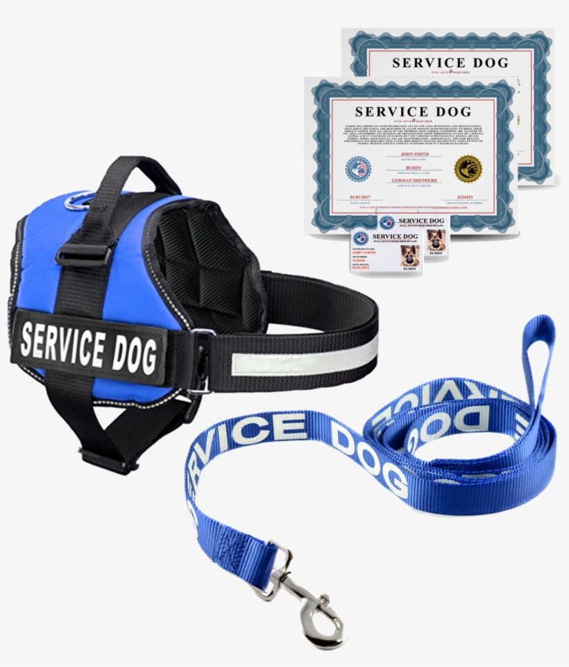 Industrial Puppy Service Dog Harness & Matching, transparent png #3584048