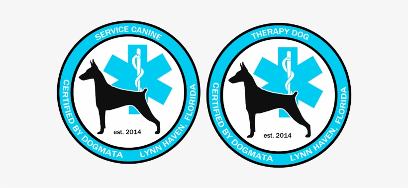 Service Dog Trainer Panama City Fl - Florida, transparent png #3584204